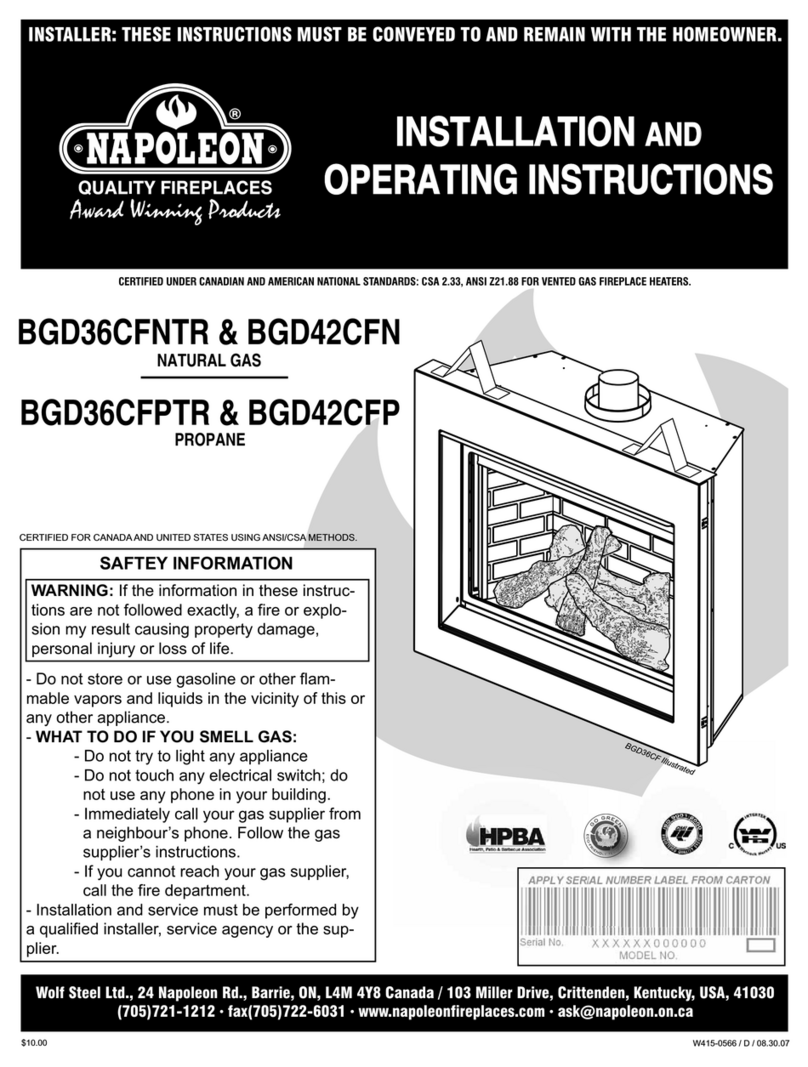 Napoleon BGD36CFNTR Manuel utilisateur