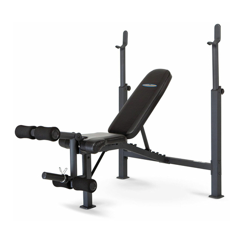 Impex CB-729 Manuel utilisateur