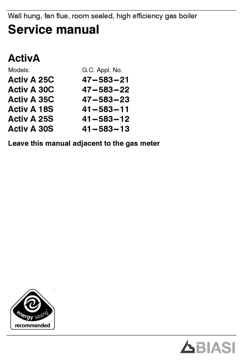 Biasi Activ A 25S Manuel utilisateur