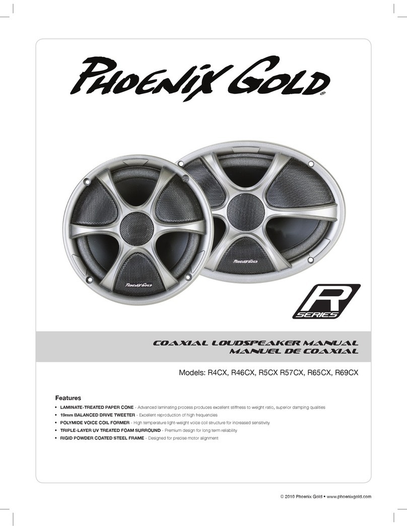 Phoenix Gold R5CX Manuel utilisateur