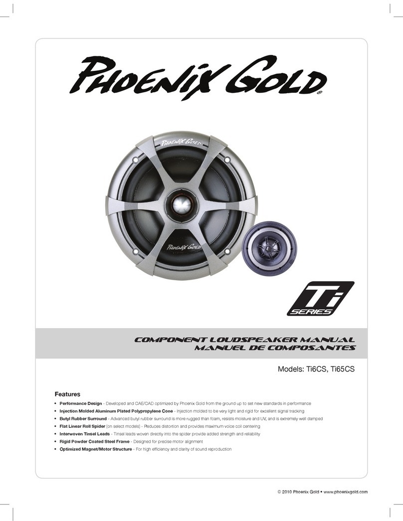 Phoenix Gold TI6CS Manuel utilisateur