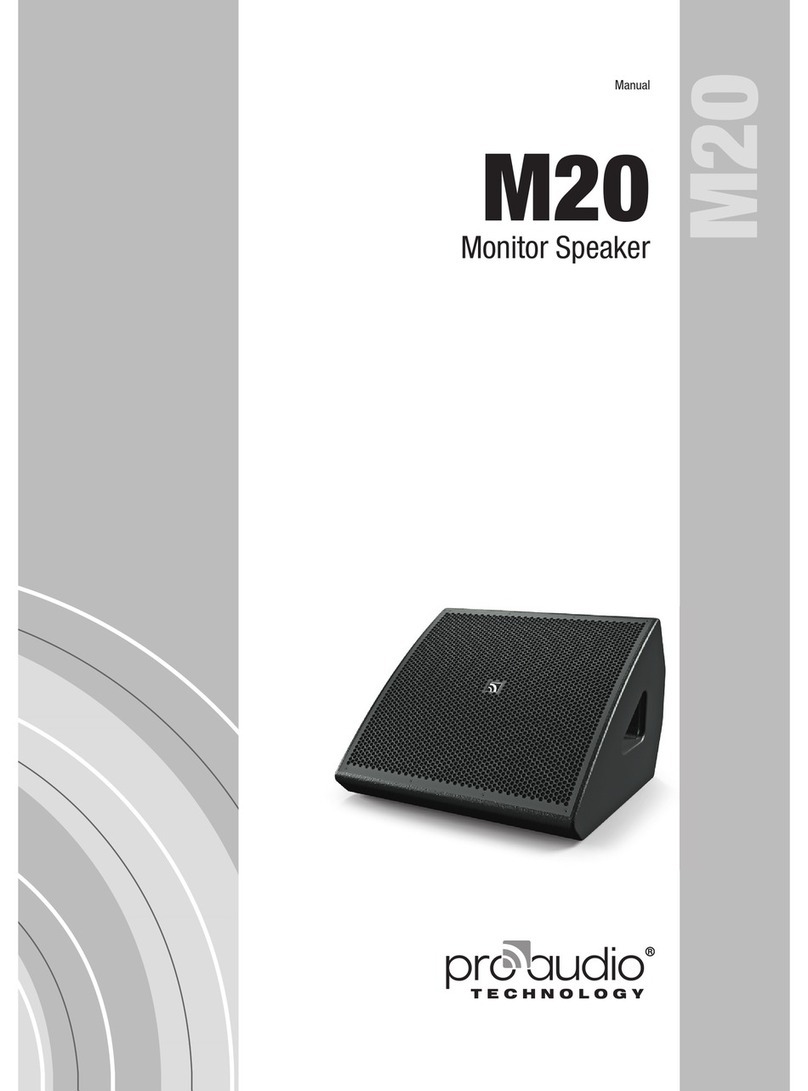 ProAudio M20 Manuel utilisateur