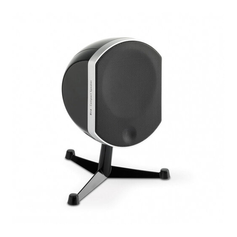 Focal BIRD Manuel utilisateur