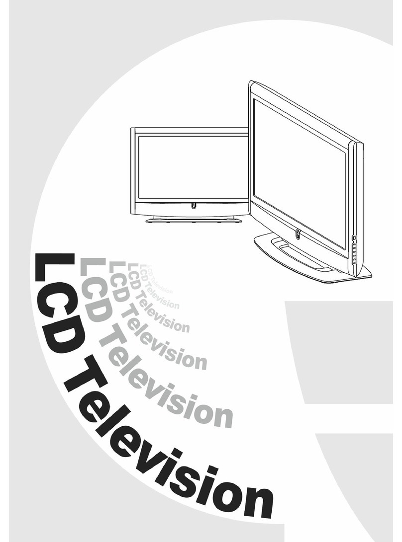Digimate LTV-3210H Manuel utilisateur