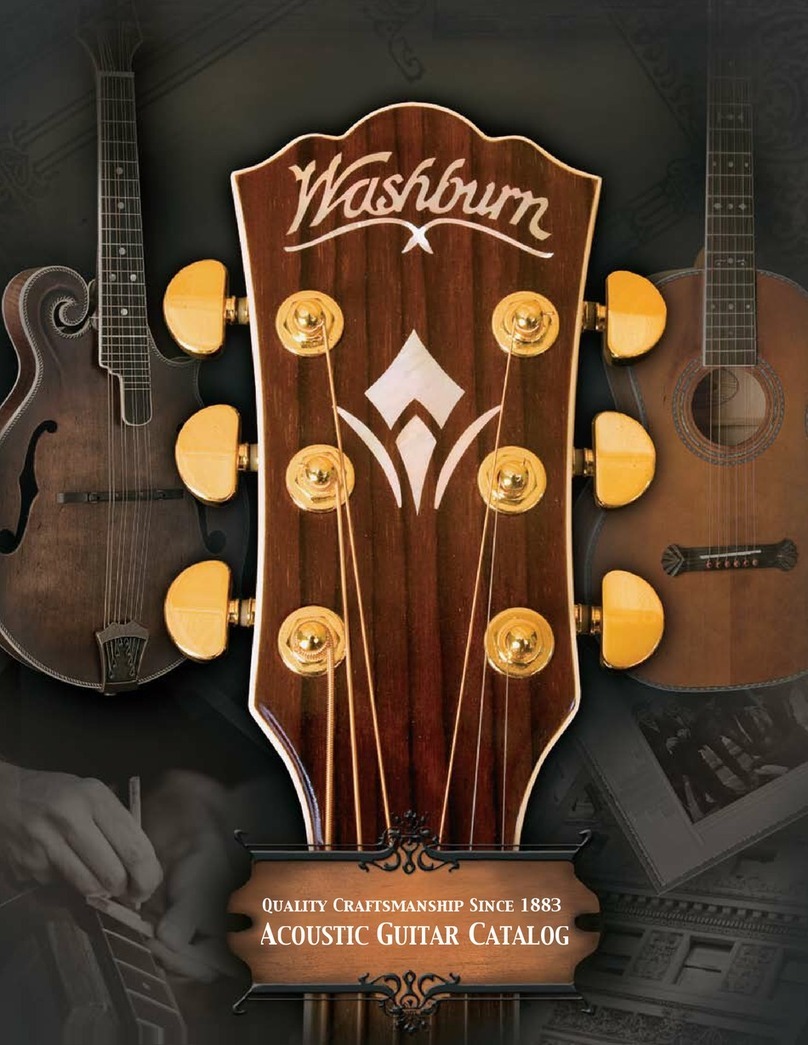 Washburn WD20S Manuel utilisateur