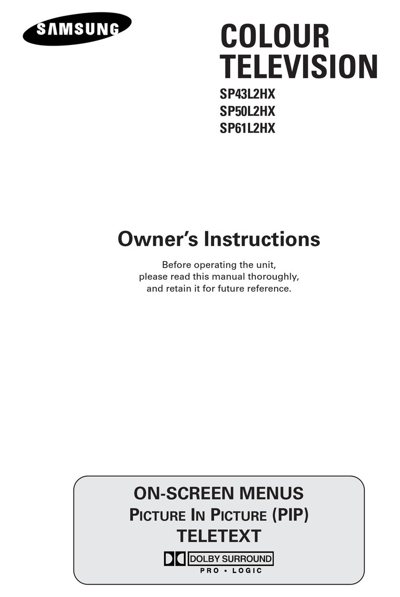 Samsung SP-43L2HX Manuel utilisateur