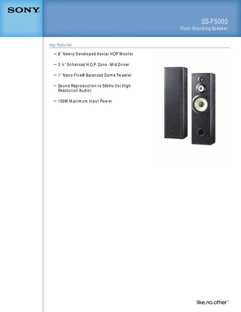 Sony SS-F5000 Manuel utilisateur