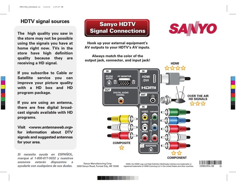 Sanyo DP19241 Manuel utilisateur