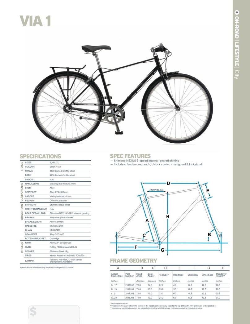 Giant VIA 1 - DATASHEET 2 Manuel utilisateur