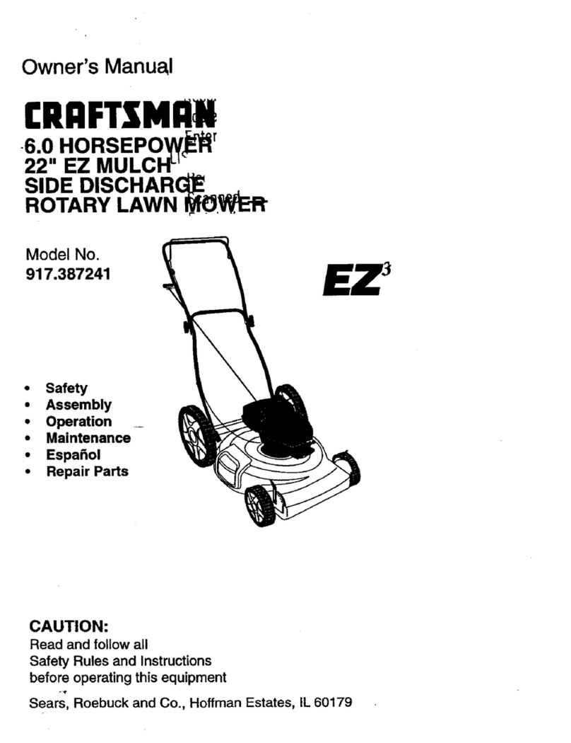 Craftsman 917.387241 Manuel utilisateur