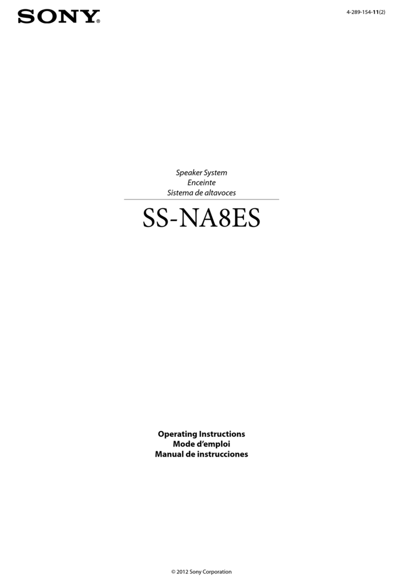 Sony SS-NA8ES Manuel utilisateur