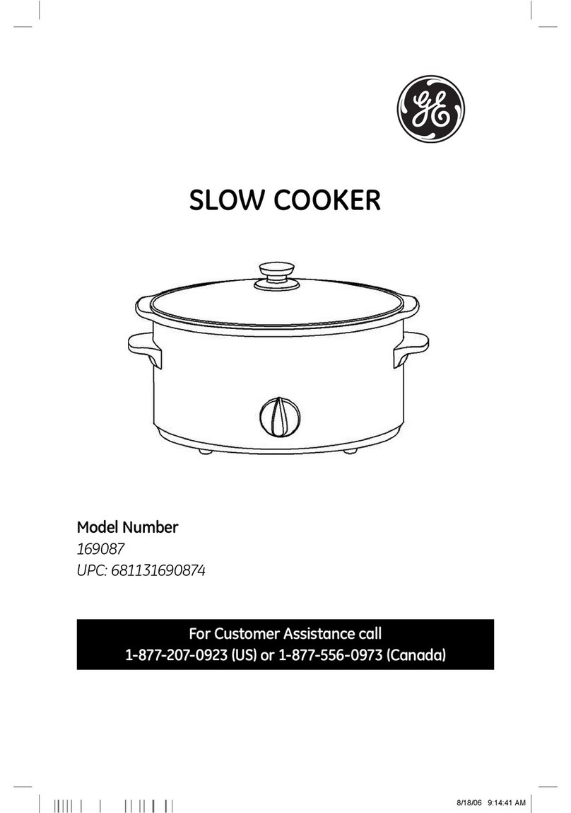 GE 169087 Manuel utilisateur