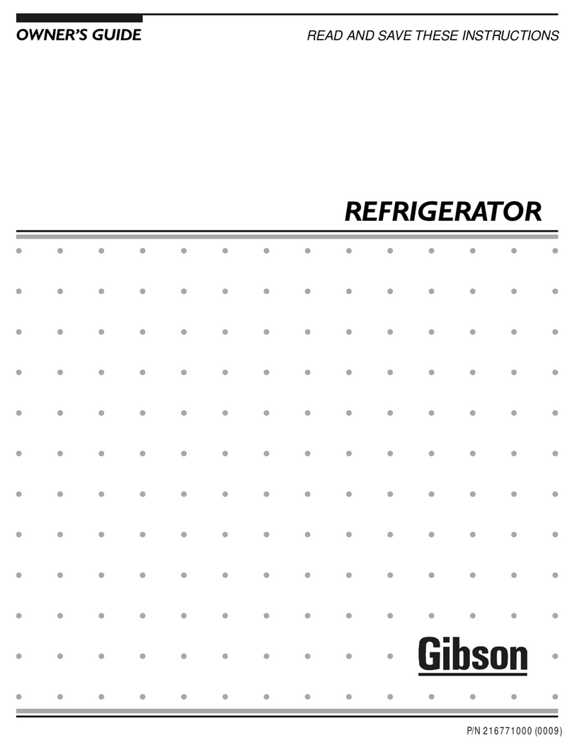 Gibson 216771000 Manuel utilisateur