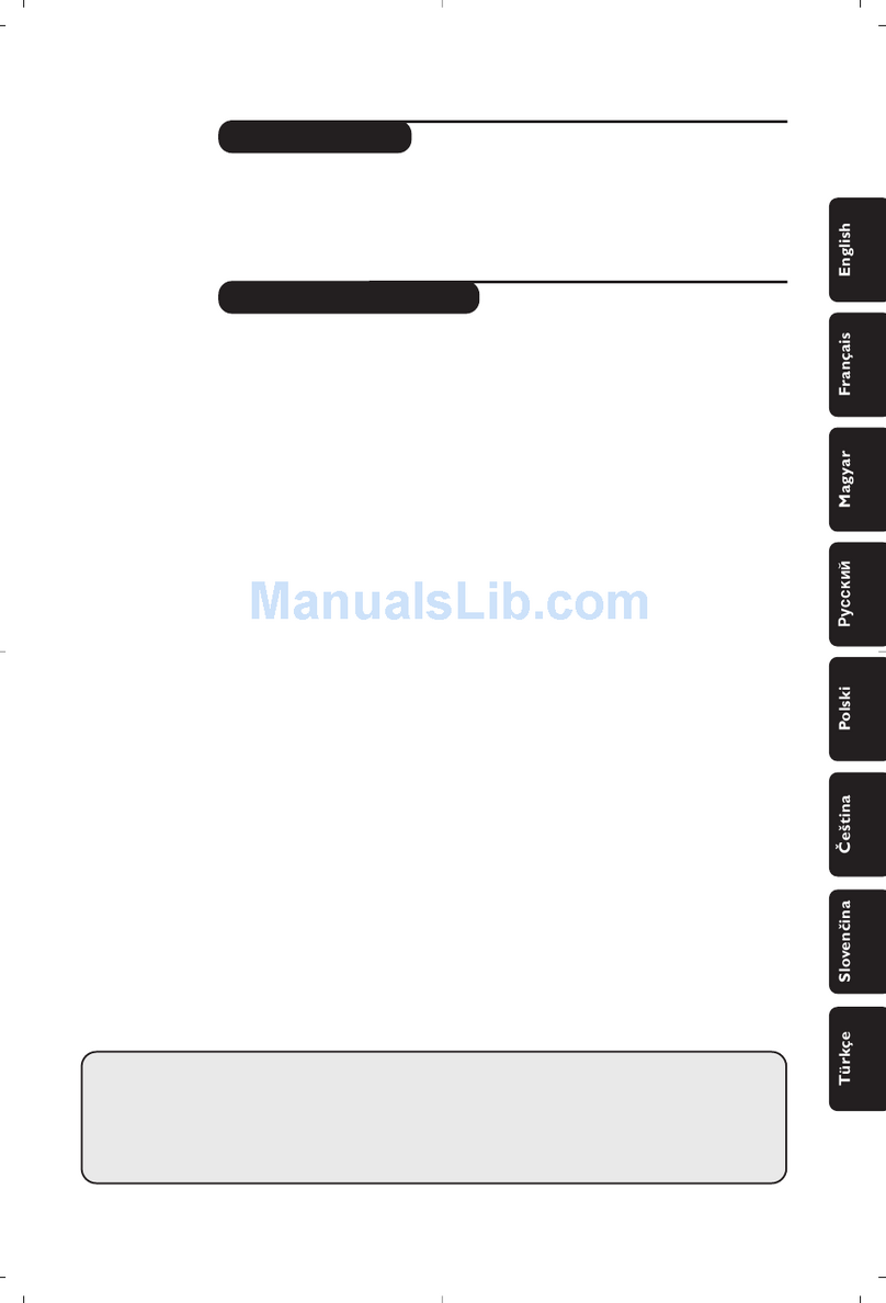 Philips 15PF9936/58I Manuel utilisateur