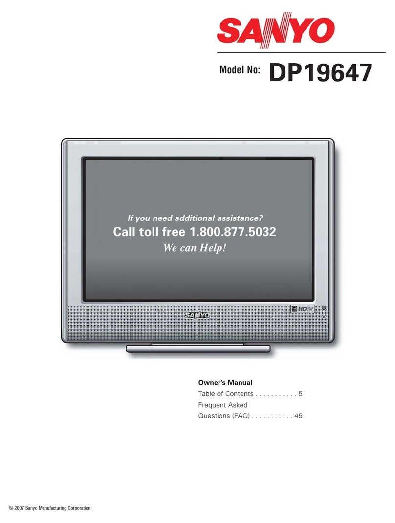 Sanyo DP19647 Manuel utilisateur