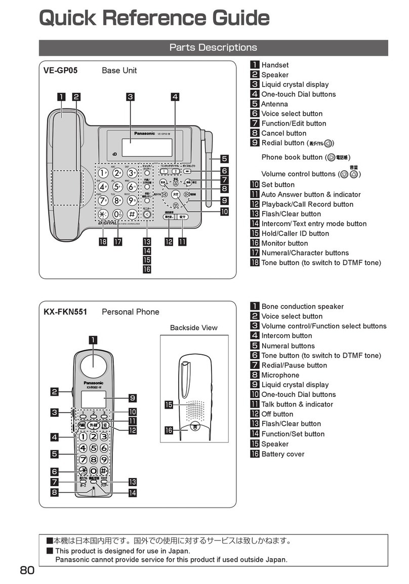 Panasonic VE-GP05 Manuel utilisateur