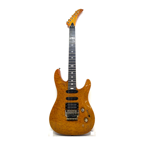 Peavey Destiny Custom Manuel utilisateur Peavey Destiny Custom Manuel utilisateur