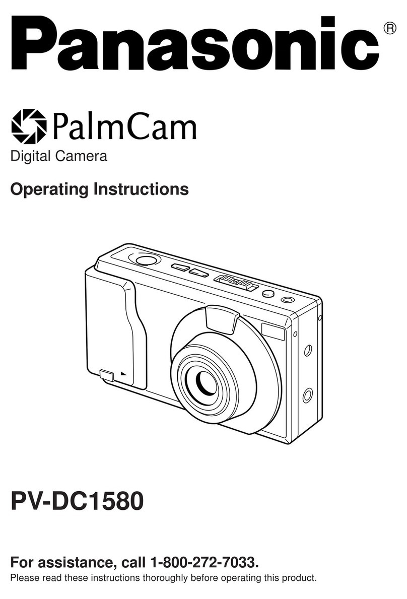 Panasonic PalmCam PV-DC1580 Manuel utilisateur