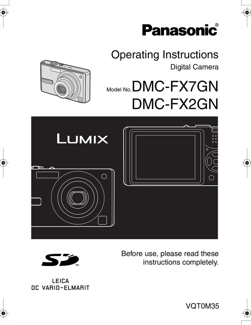 Panasonic DMC-FX2GN Manuel utilisateur