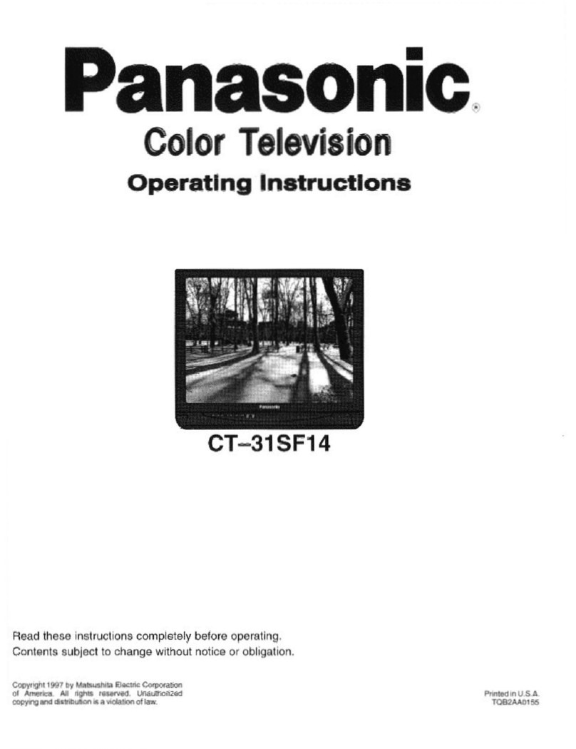 Panasonic CT-31SF14V Manuel utilisateur