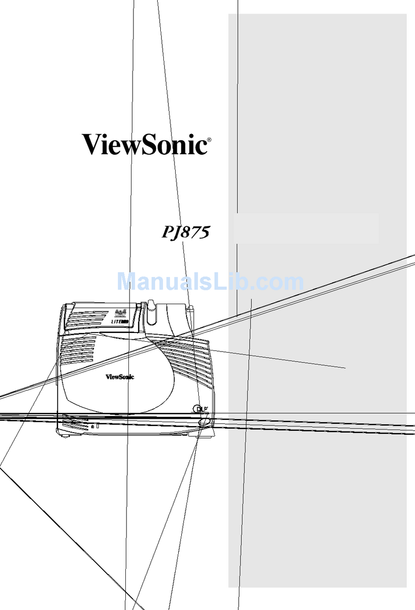 ViewSonic LiteBird PJ875 Manuel utilisateur