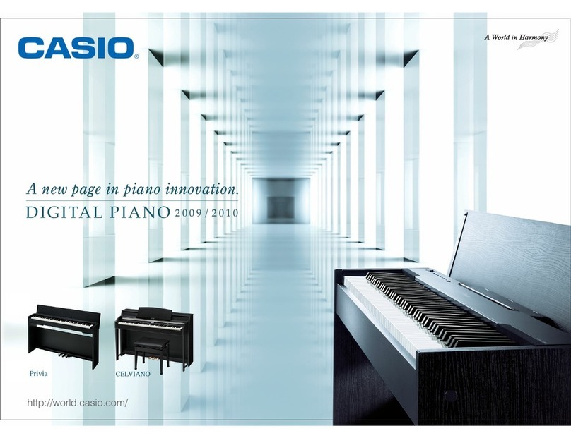 Casio CDP-100 Manuel utilisateur