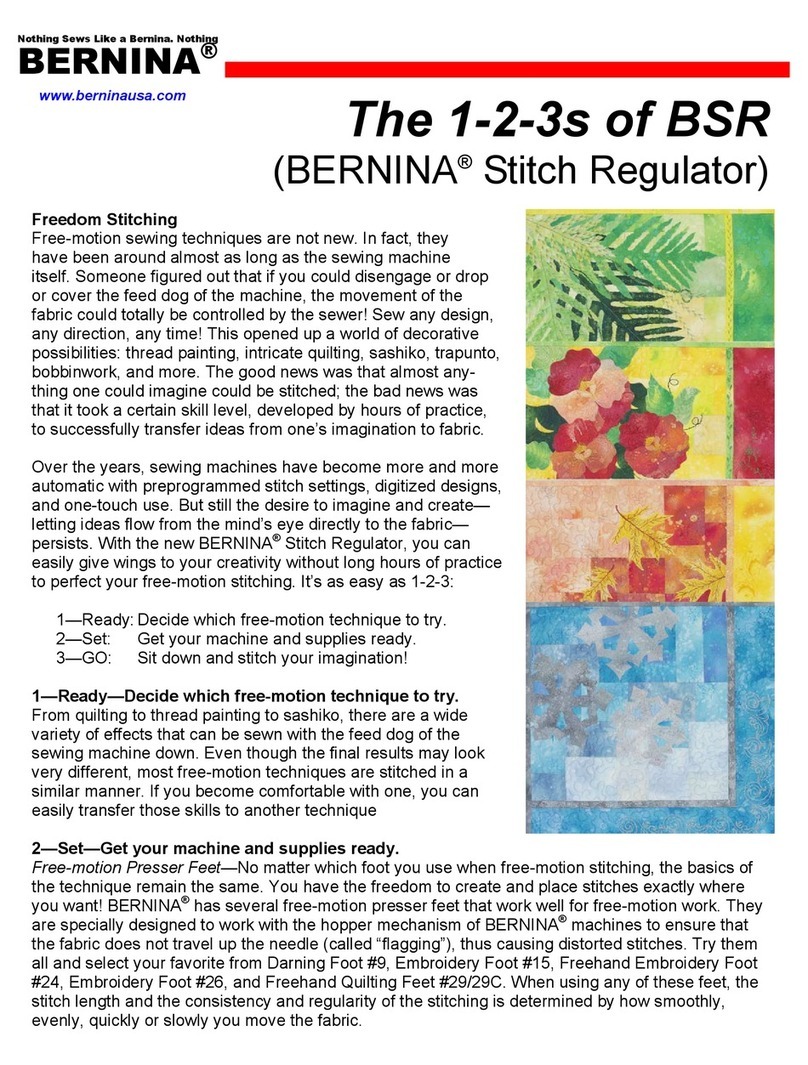 Bernina Switch Regulator Manuel utilisateur