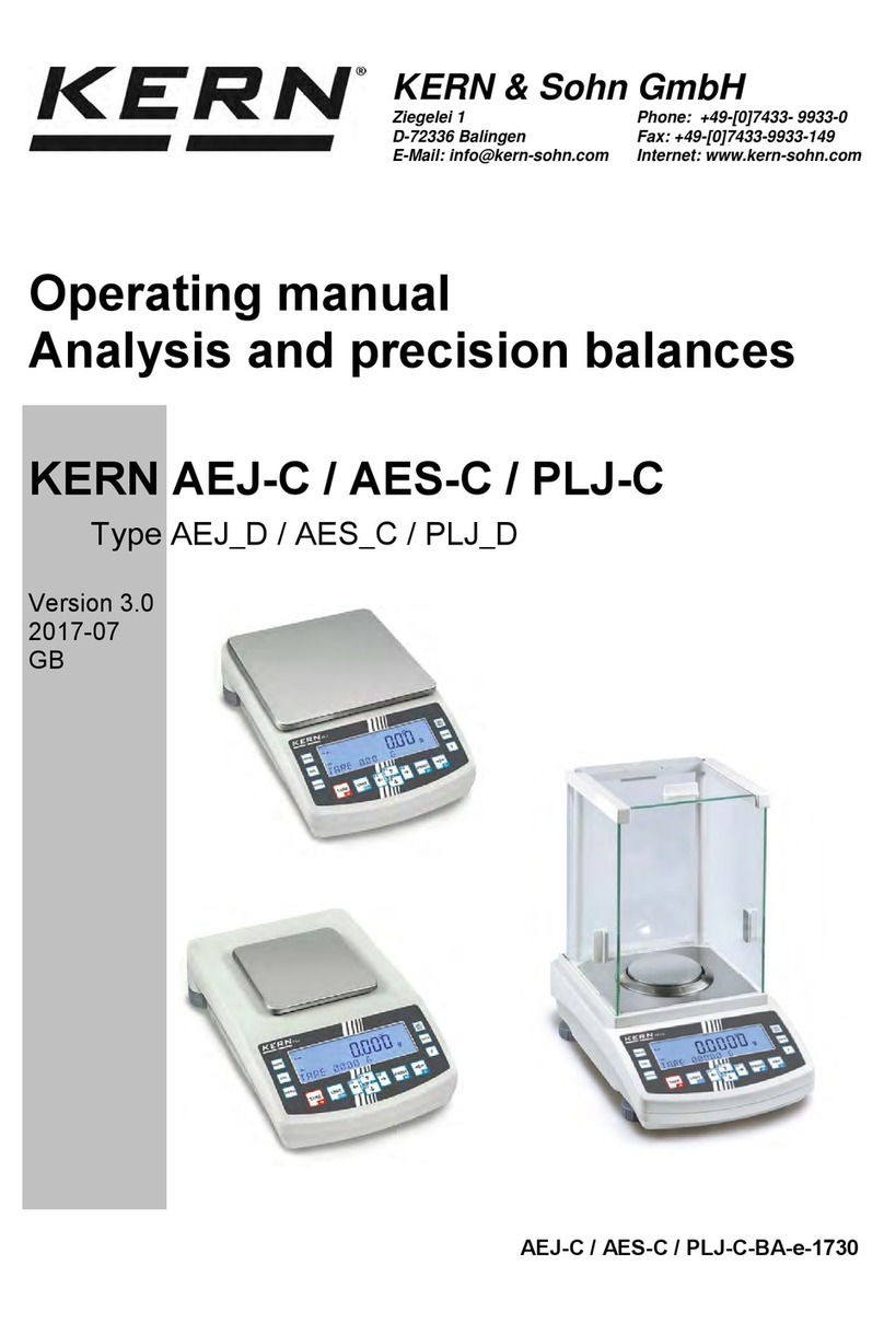 KERN AEJ 100-4DM Manuel utilisateur