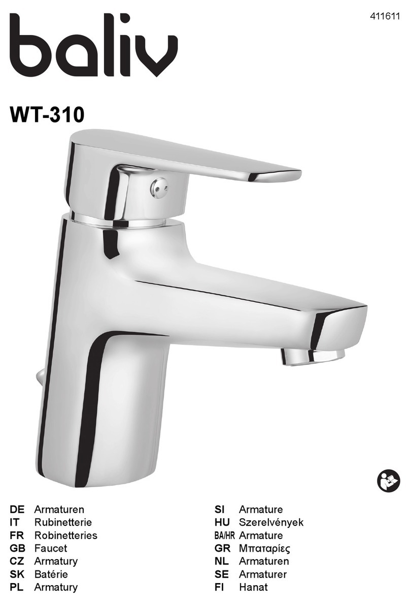 baliv WT-310 Manuel utilisateur