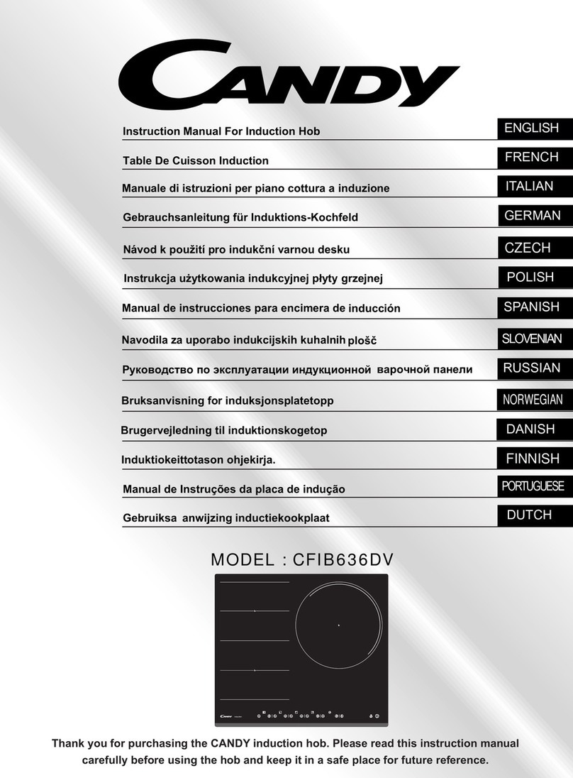 Candy CFIB636DV Manuel utilisateur