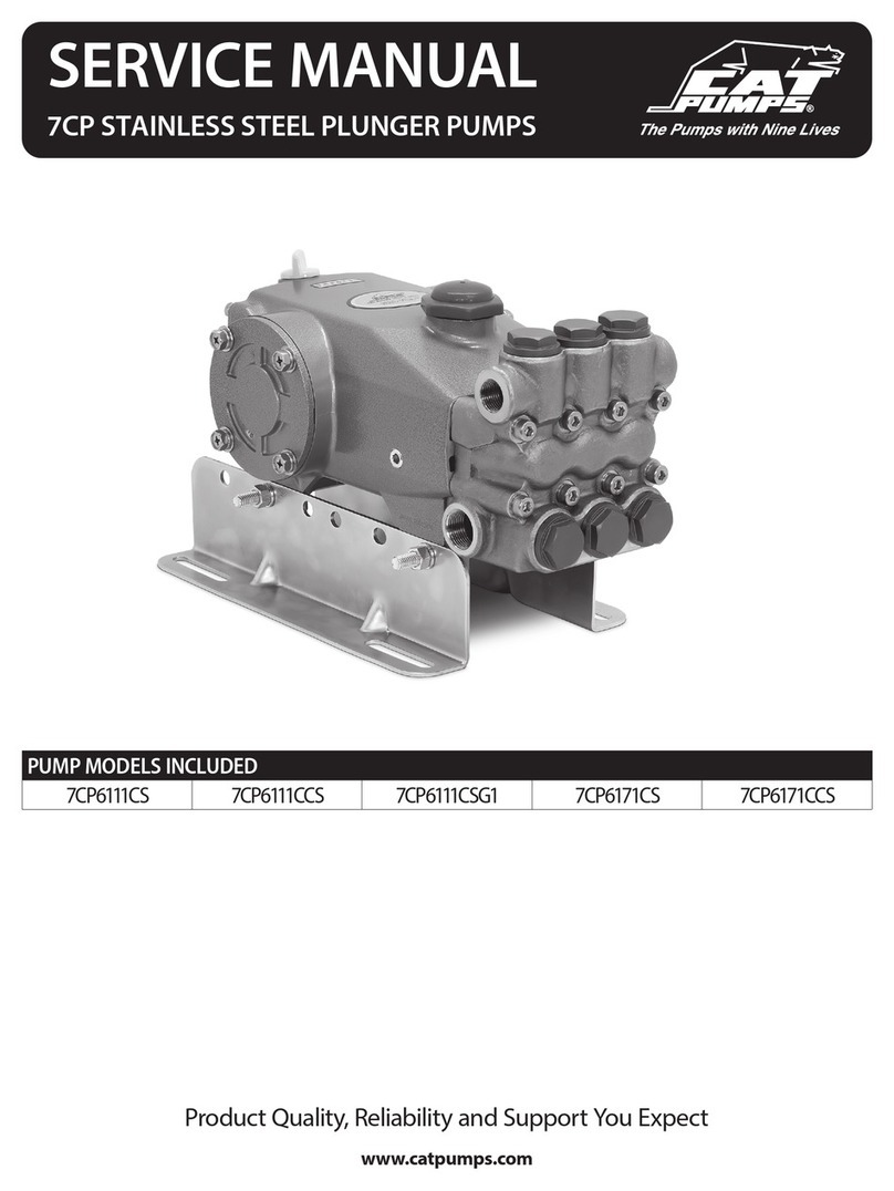 CAT Pumps 7CP6111CS Manuel utilisateur