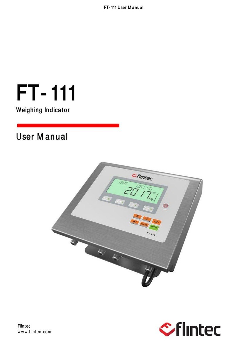 Flintec FT-111 Series Manuel utilisateur