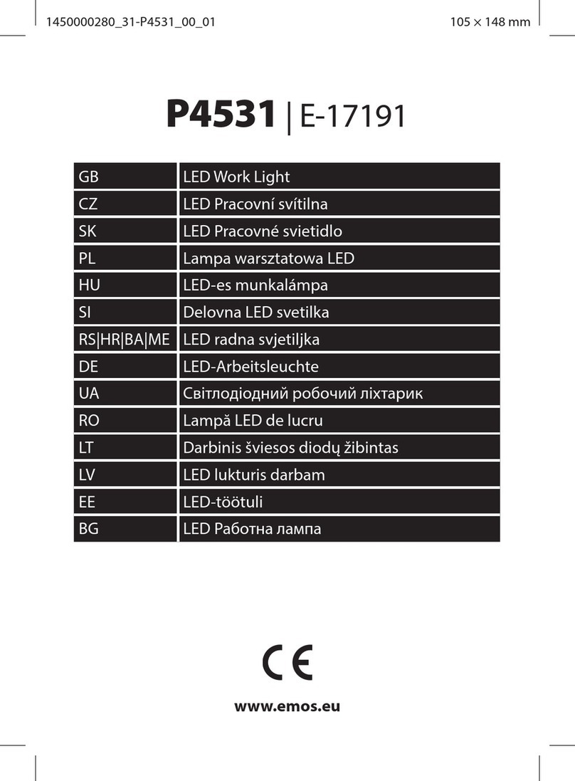 Emos E-17191 Manuel utilisateur