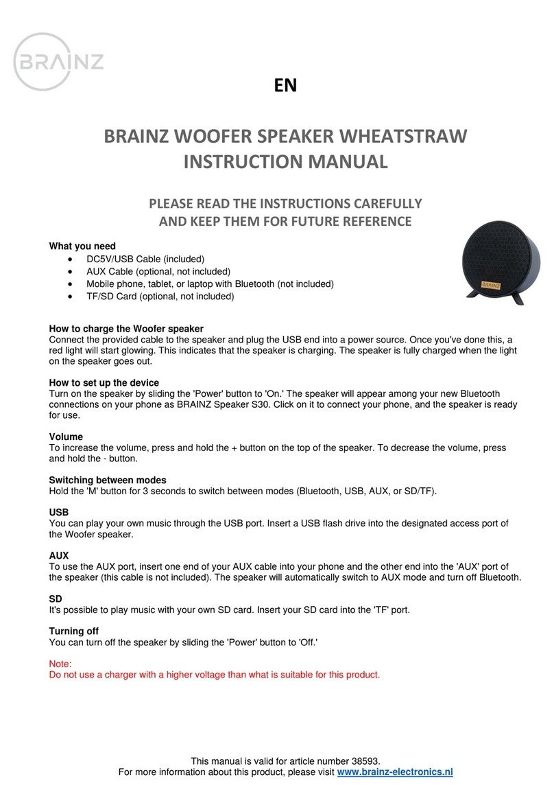 Brainz 38593 Manuel utilisateur