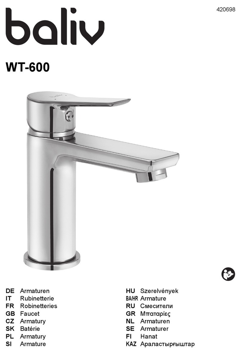baliv WT-600 Manuel utilisateur
