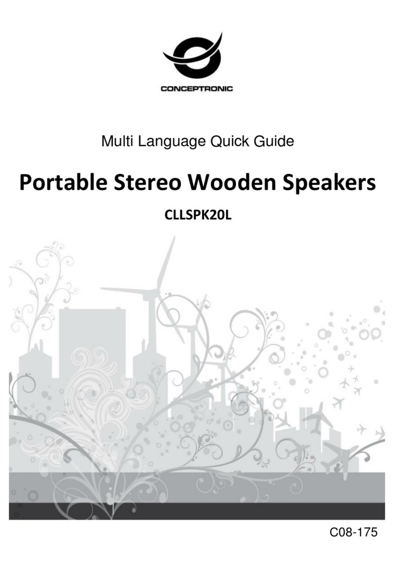 Conceptronic CLLSPK20L Manuel utilisateur