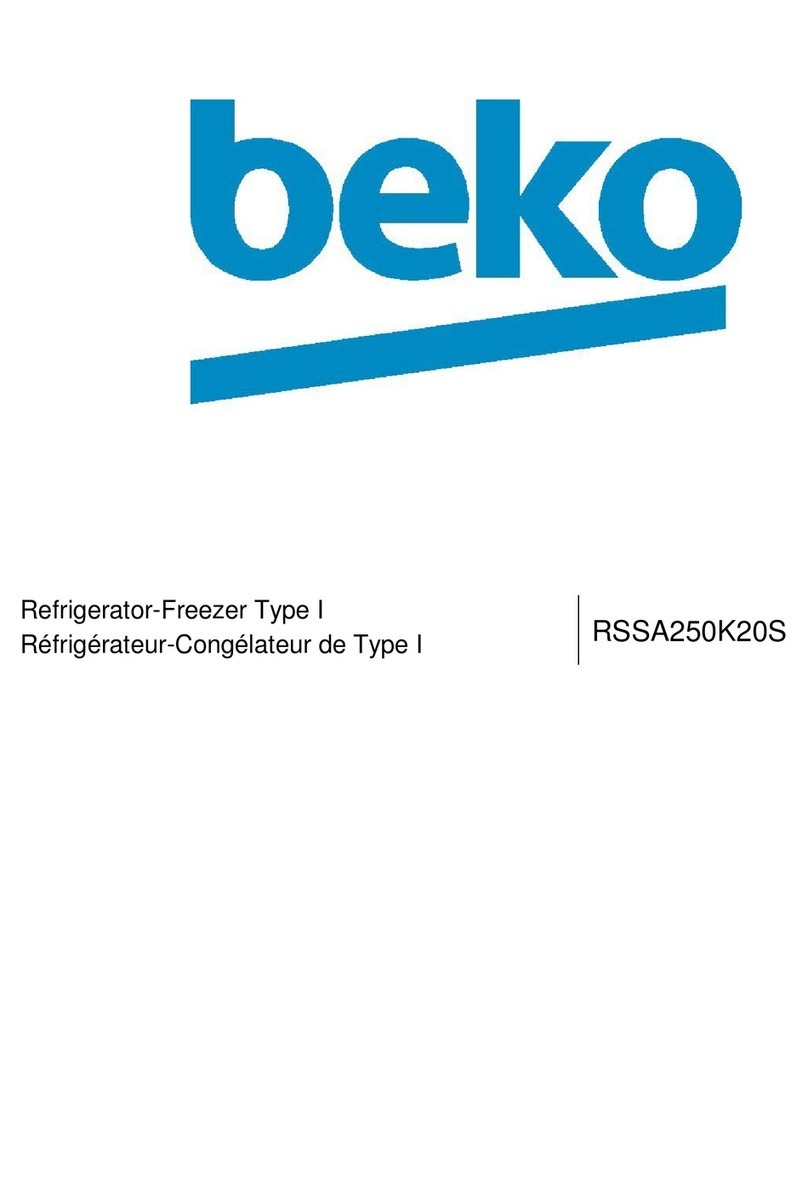 Beko RSSA250K20S Manuel utilisateur