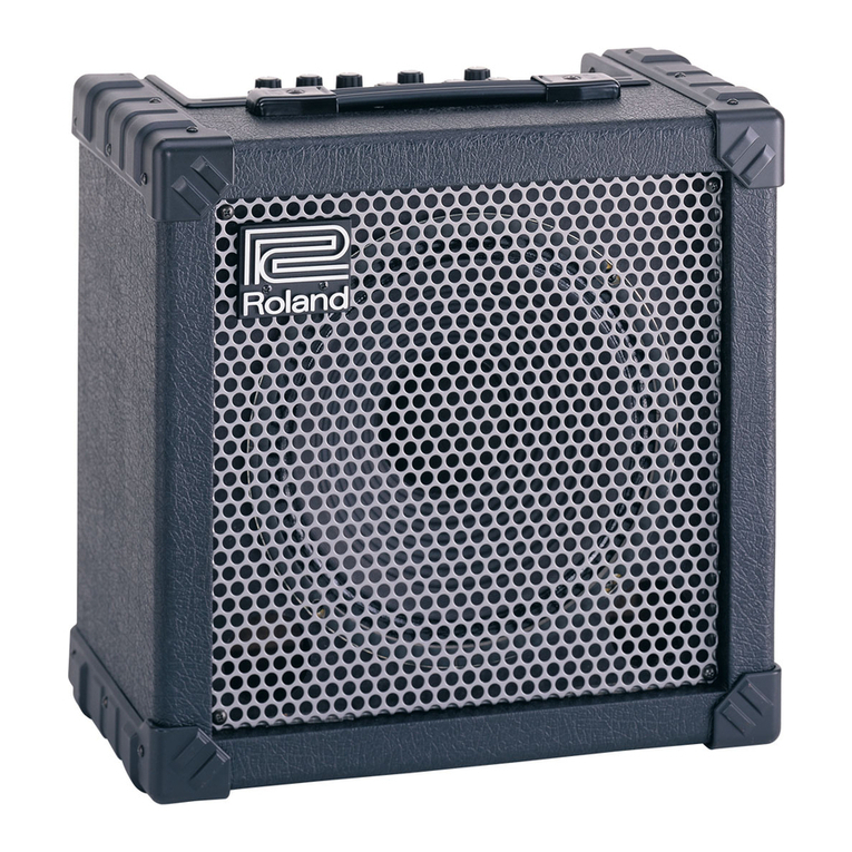 Roland CUBE 30 Manuel utilisateur