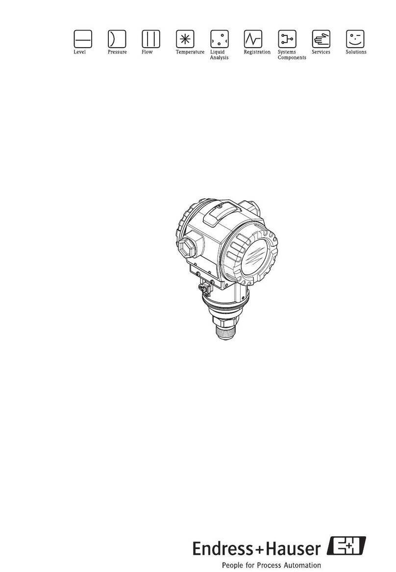 Endress+Hauser Cerabar S PMC71 Caractéristiques techniques