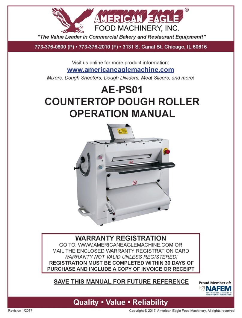 American Eagle AE-PS01 Manuel utilisateur