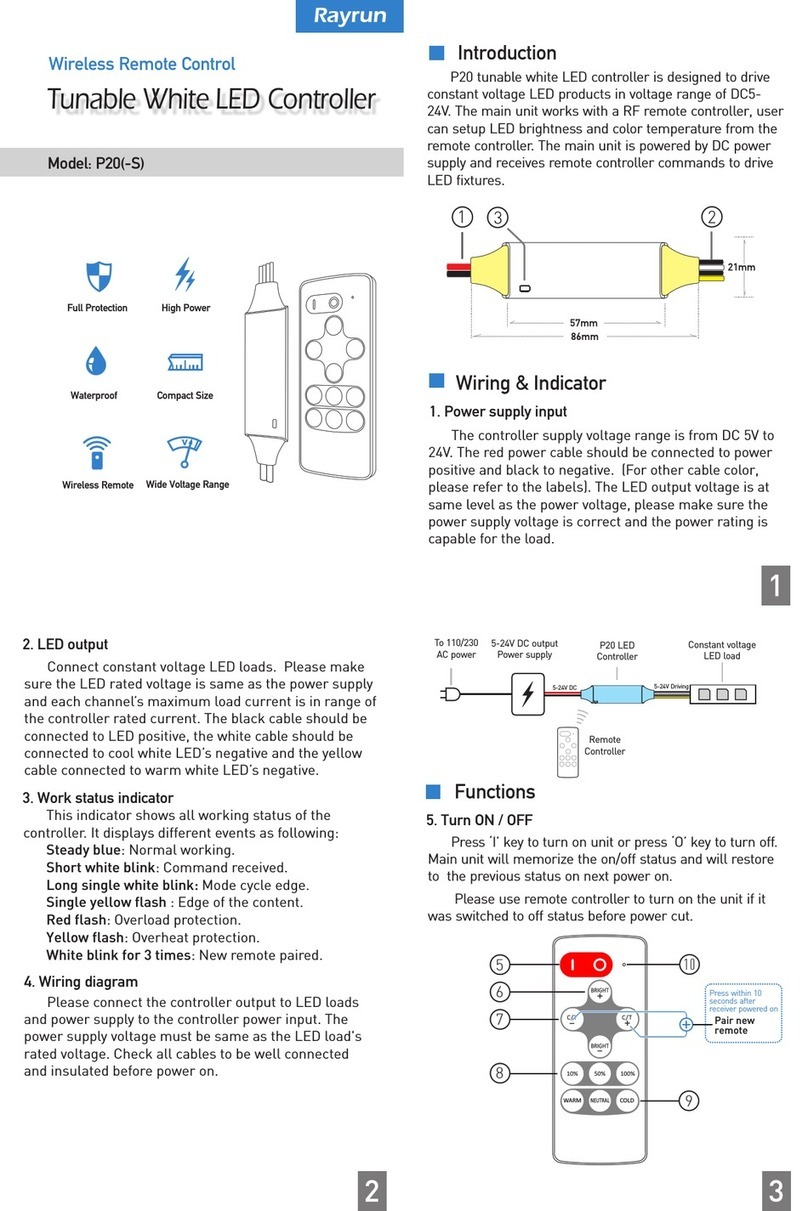 Rayrun P20 Manuel utilisateur