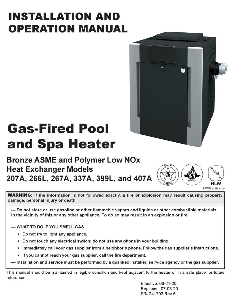 Raypak 207A Manuel utilisateur