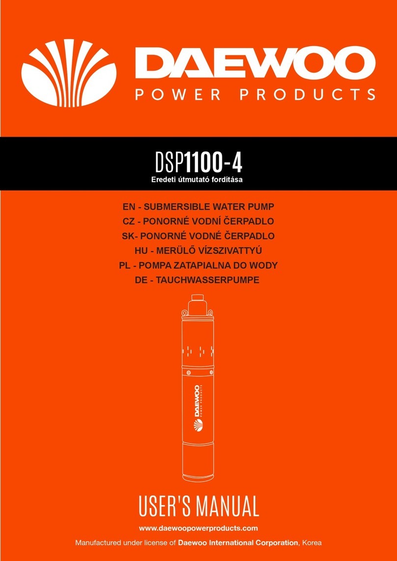 Daewoo DSP1100-4 Manuel utilisateur