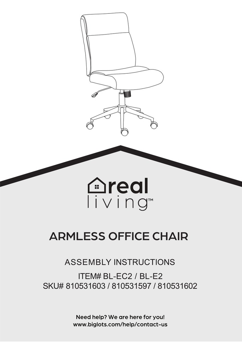 real living BL-EC2 Manuel utilisateur