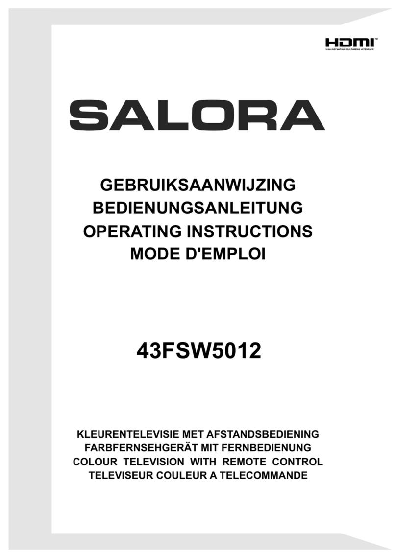 Salora 43FSW5012 Manuel utilisateur