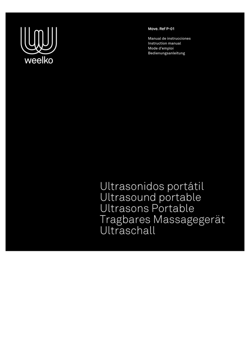 Weelko P-01 Manuel utilisateur